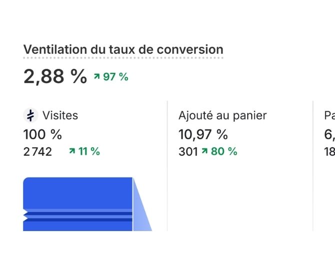 Capture : 2,88% de conversion