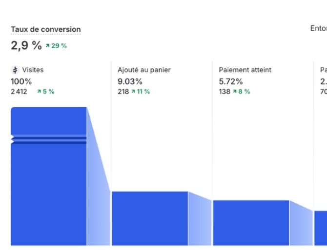 Capture : 2,9% de conversion